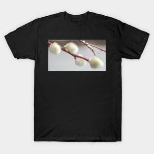 Catkins T-Shirt